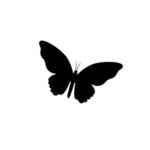 ZILA